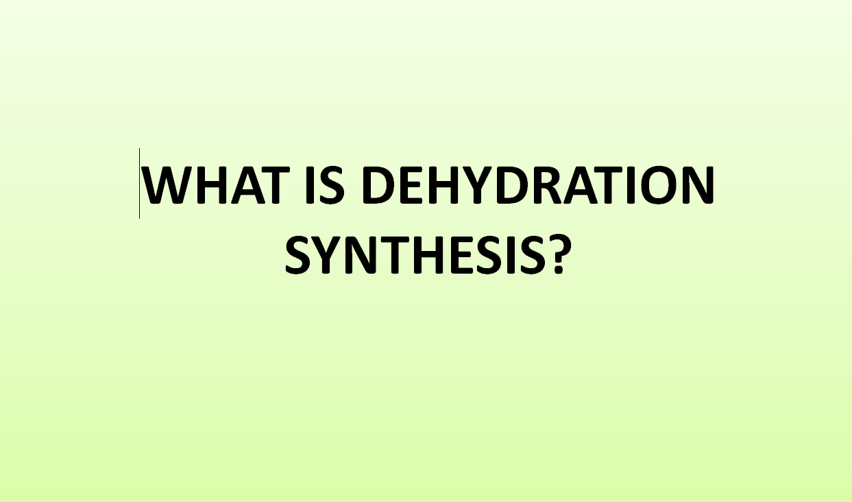 what-is-dehydration- synthesis